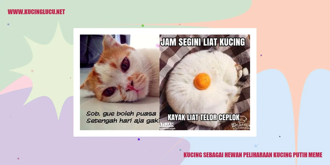 Gambar Kucing Putih Meme