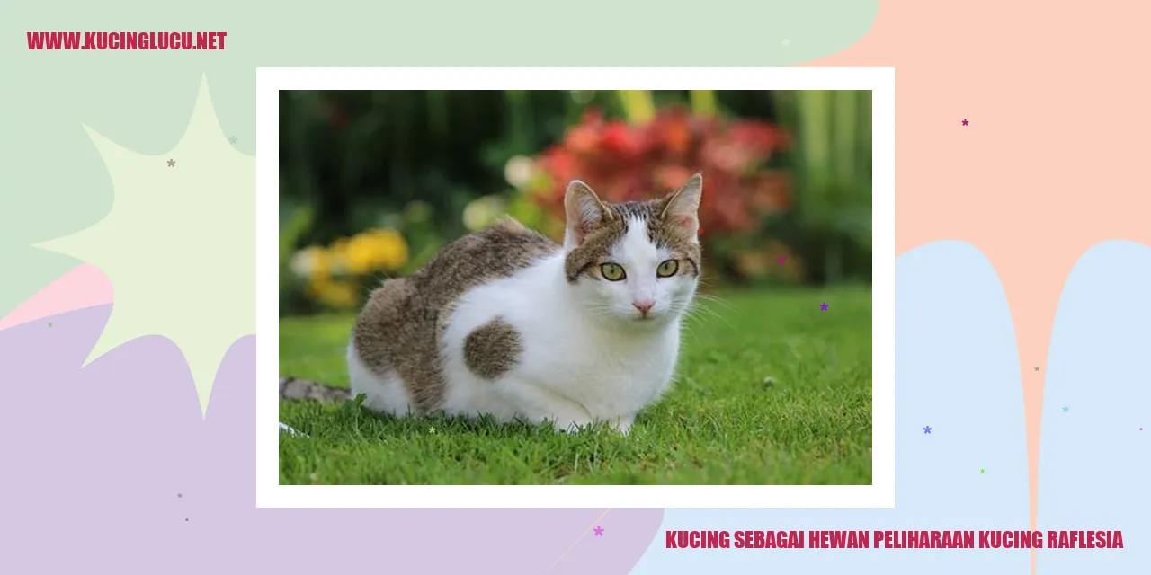 Kucing sebagai Hewan Peliharaan Kucing Raflesia
