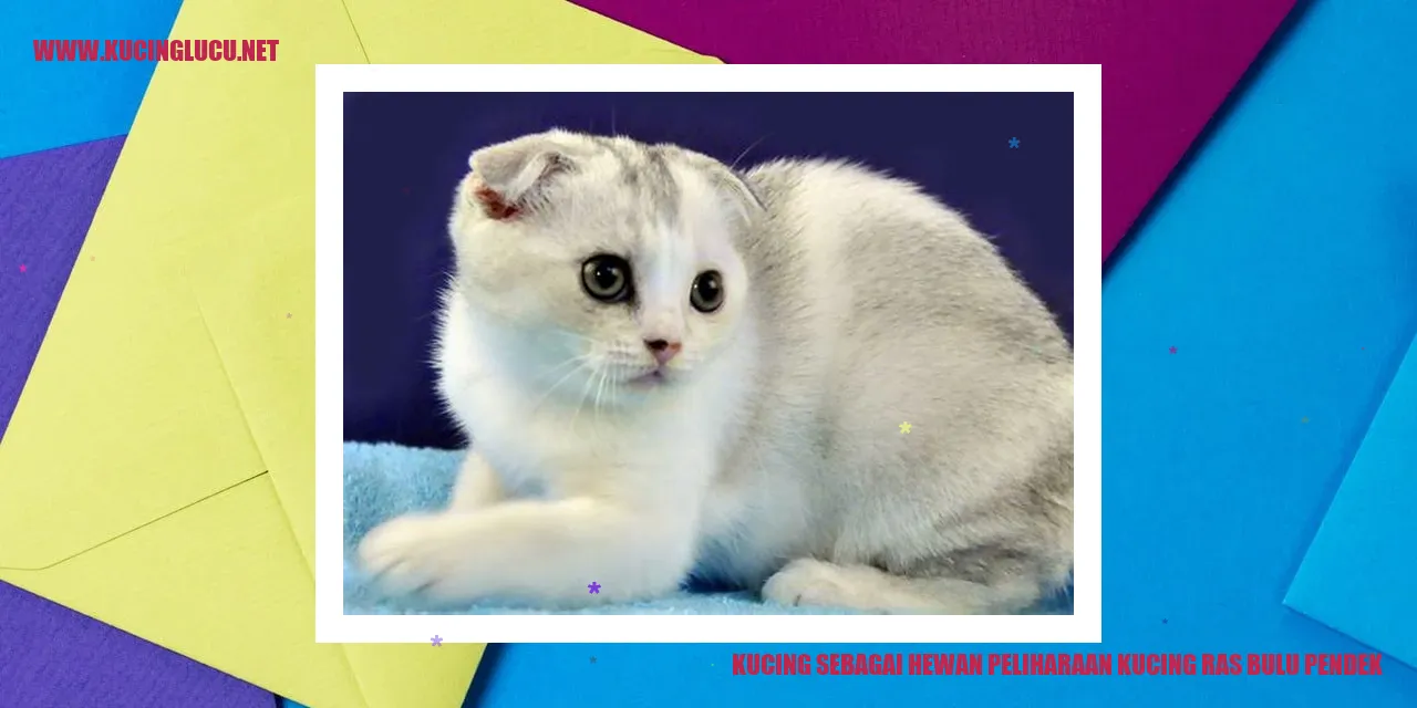 Gambar Kucing Ras Bulu Pendek
