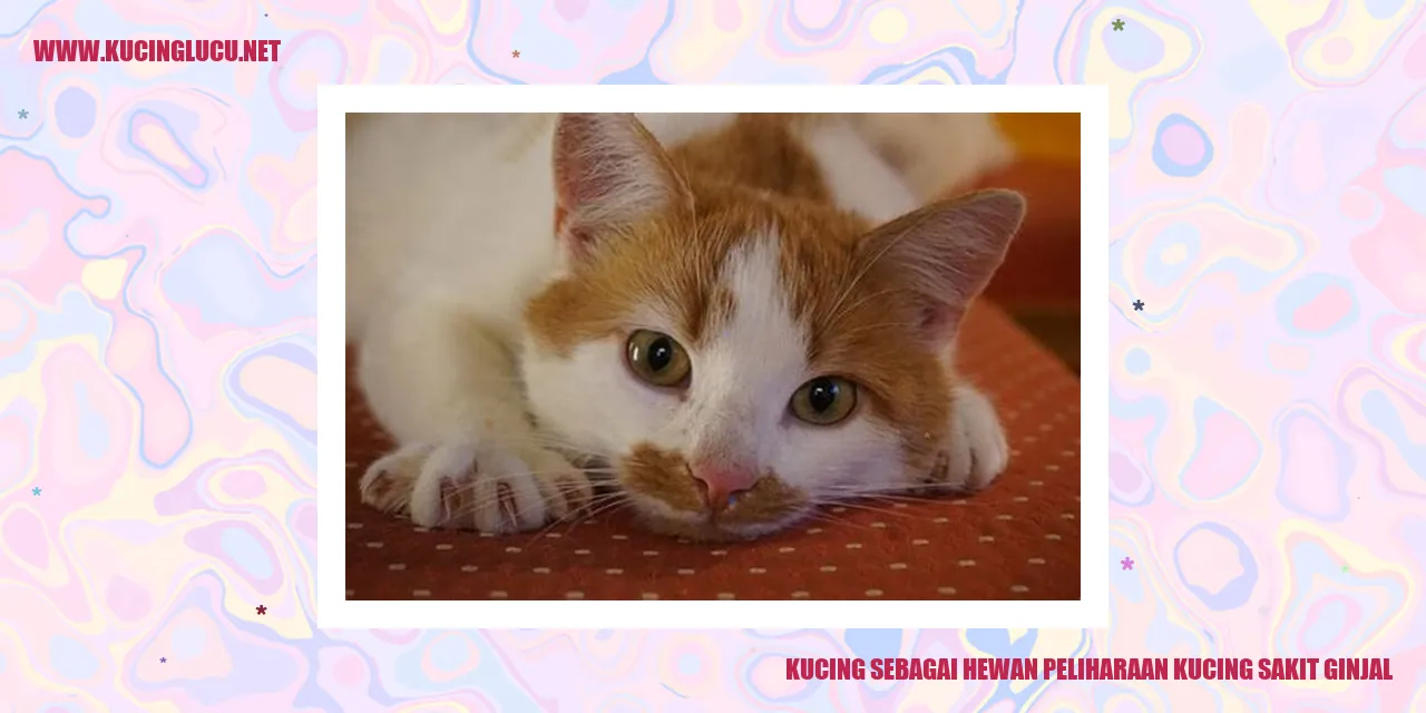 Gambar Kucing Sakit Ginjal