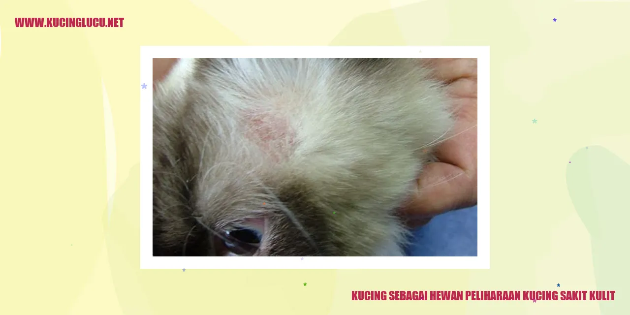 Gambar Kucing dengan Gangguan Kulit