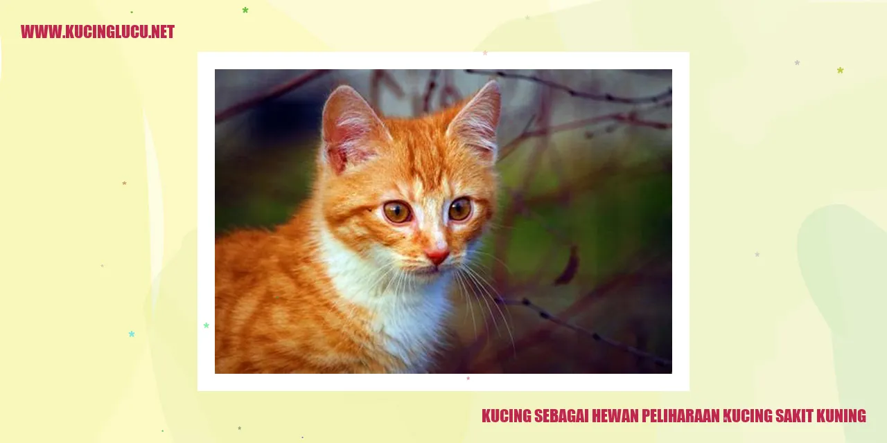 Kucing Menggemaskan
