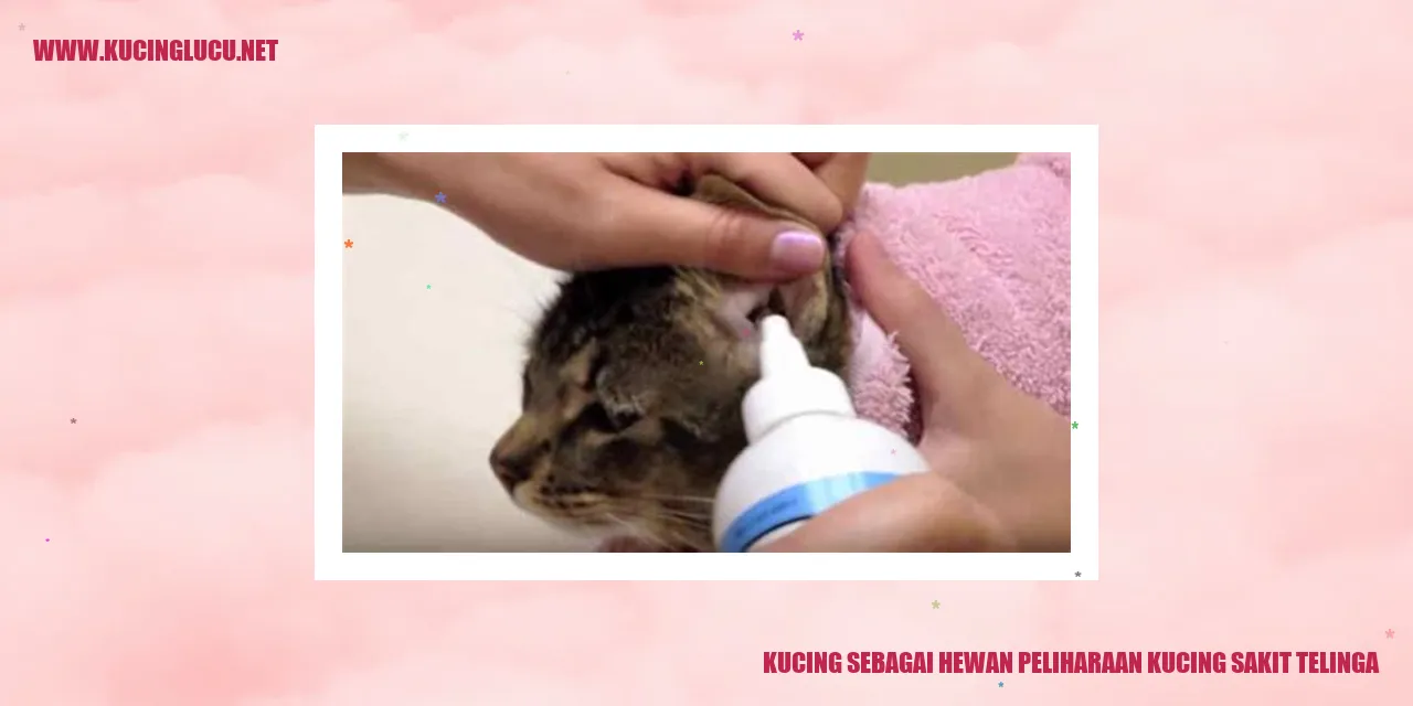 Seorang kucing sedang menggaruk telinganya