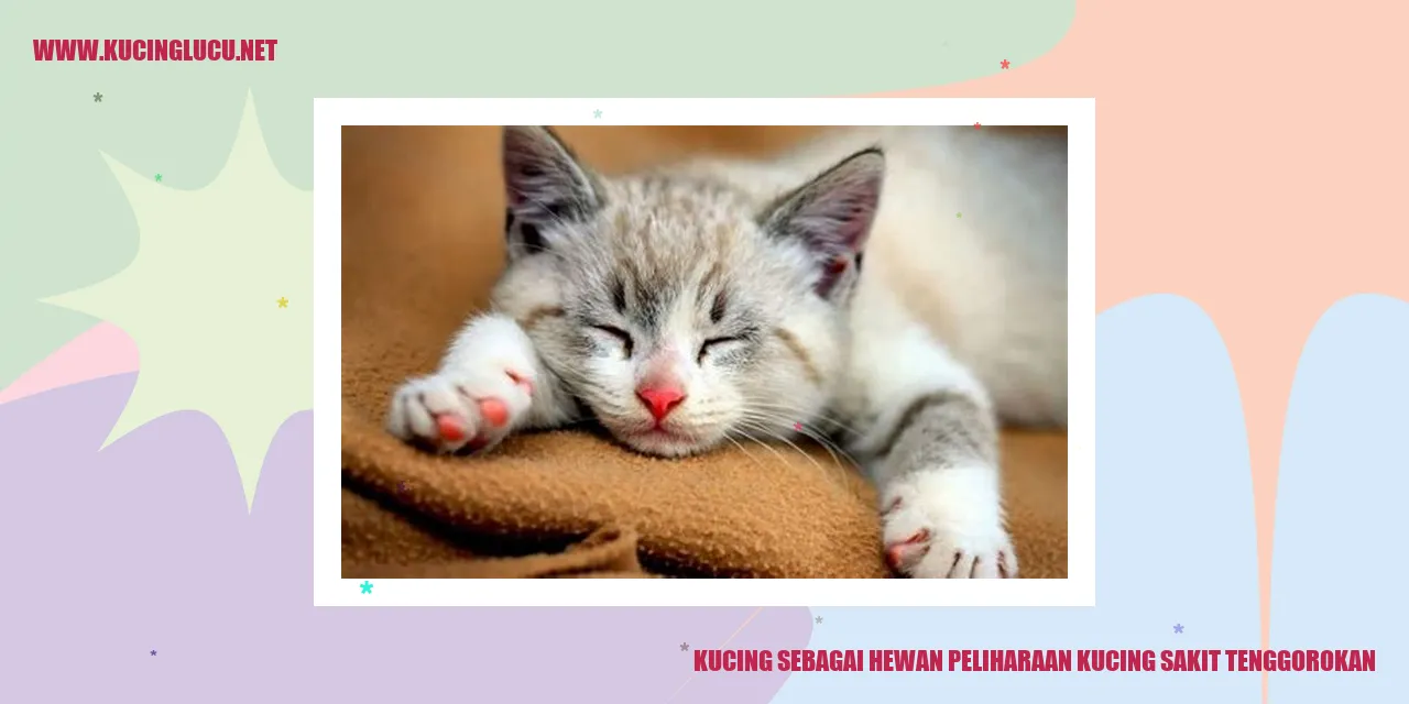 gambar kucing yang menggemaskan