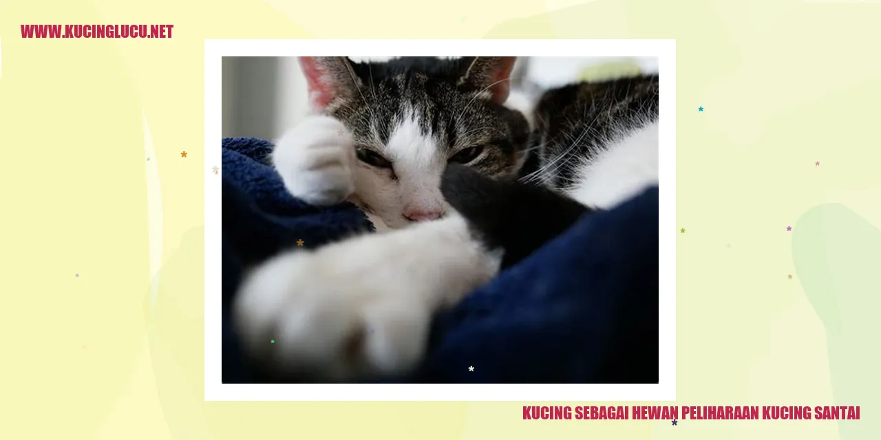 Kucing Santai