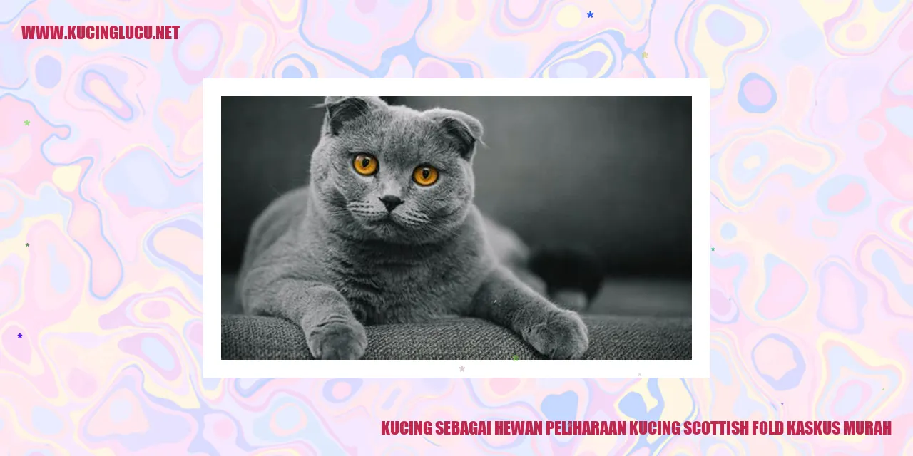 Kucing Peliharaan