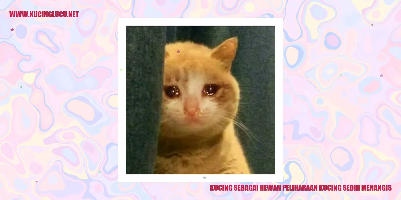 Gambar Kucing Sedih