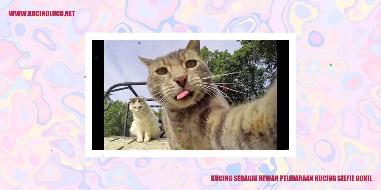 Kucing Sebagai Hewan Peliharaan yang Selfie Gokil