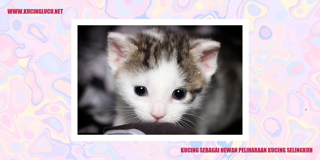 Gambar kucing yang menggemaskan