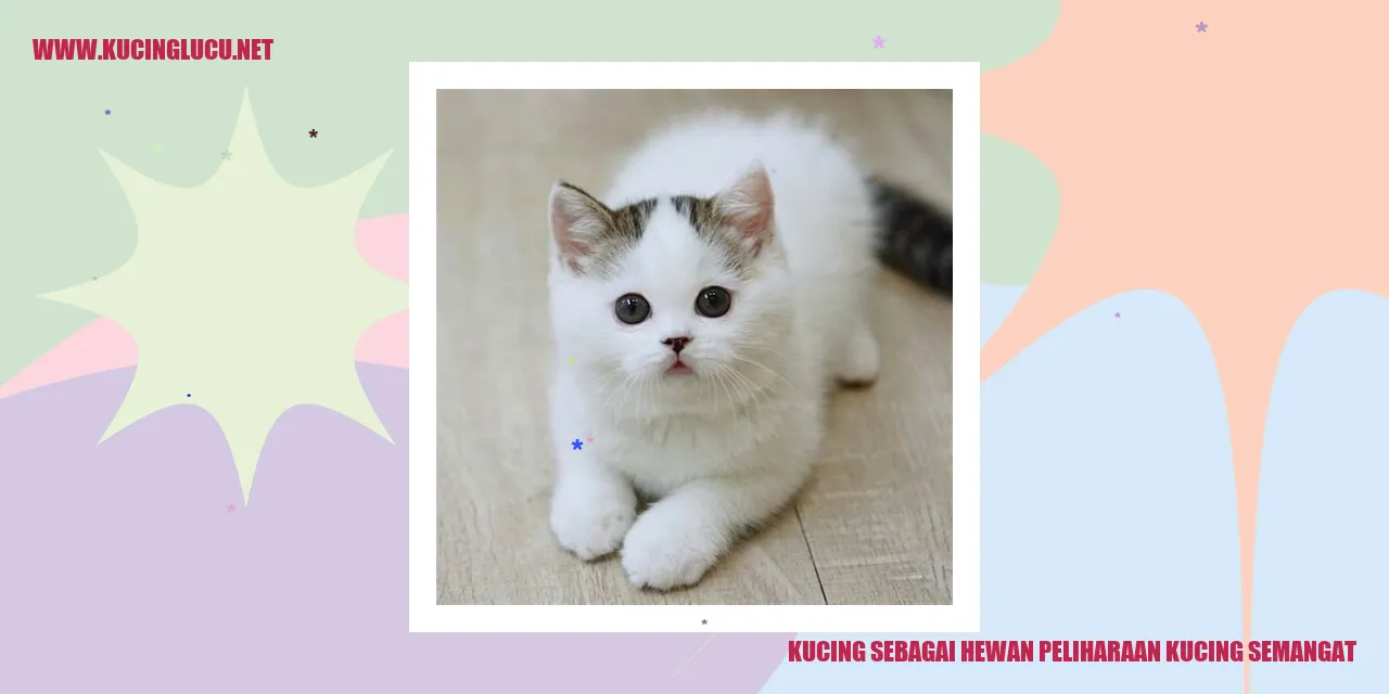 Kucing bermain dengan penuh semangat