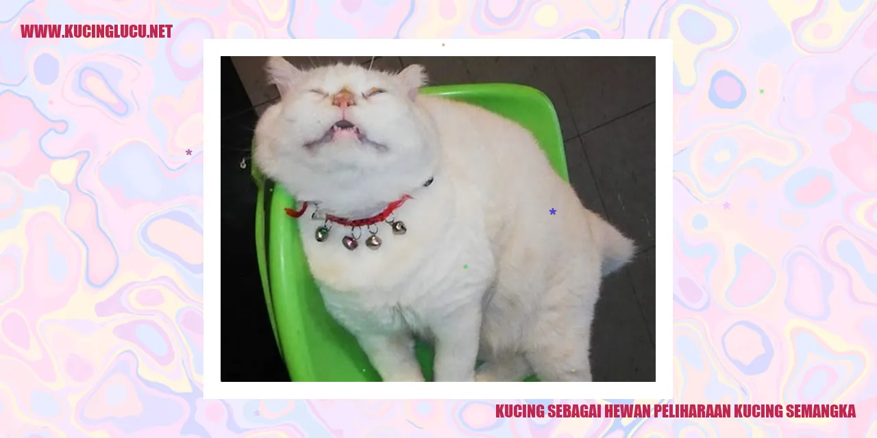 Kucing sebagai Hewan Peliharaan