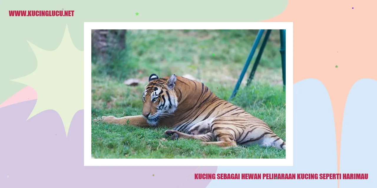 Gambar kucing dengan kemiripan wajah harimau