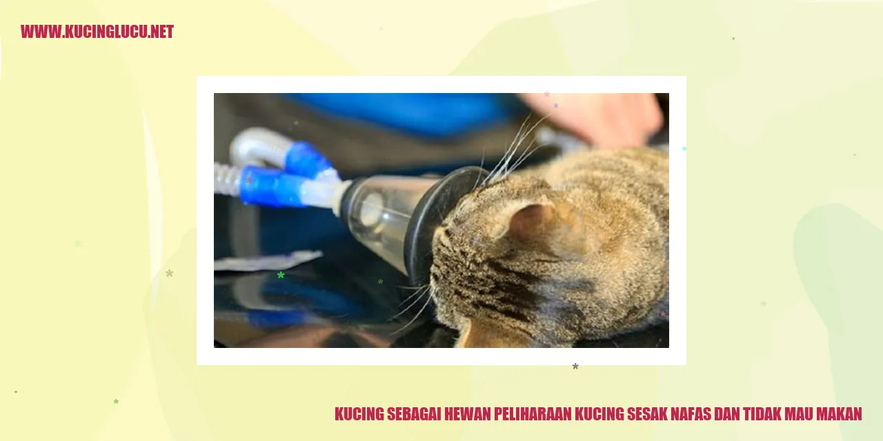 Gambar kucing yang menggemaskan