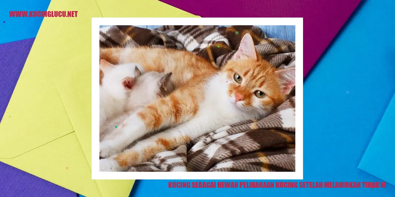 Paragraf tentang Kucing sebagai Hewan Peliharaan kucing setelah melahirkan tidak mau makan