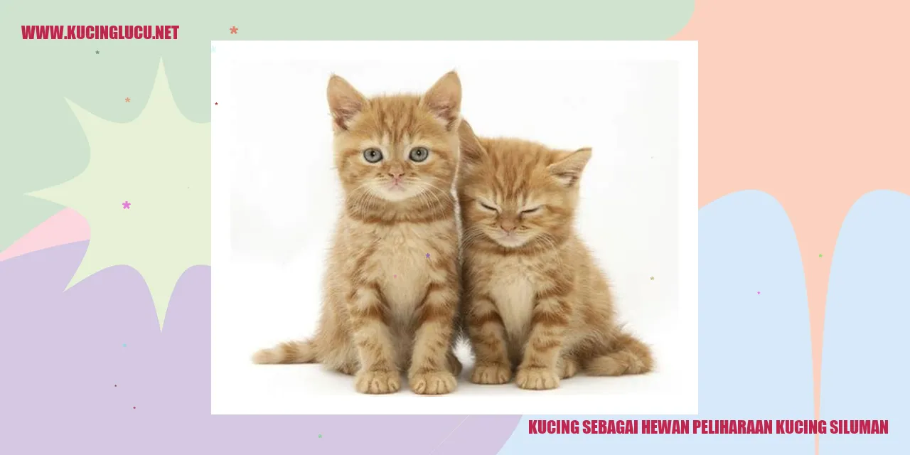 Kucing Siluman