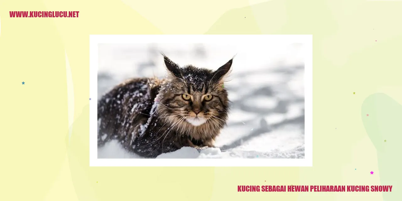 Gambar kucing snowy