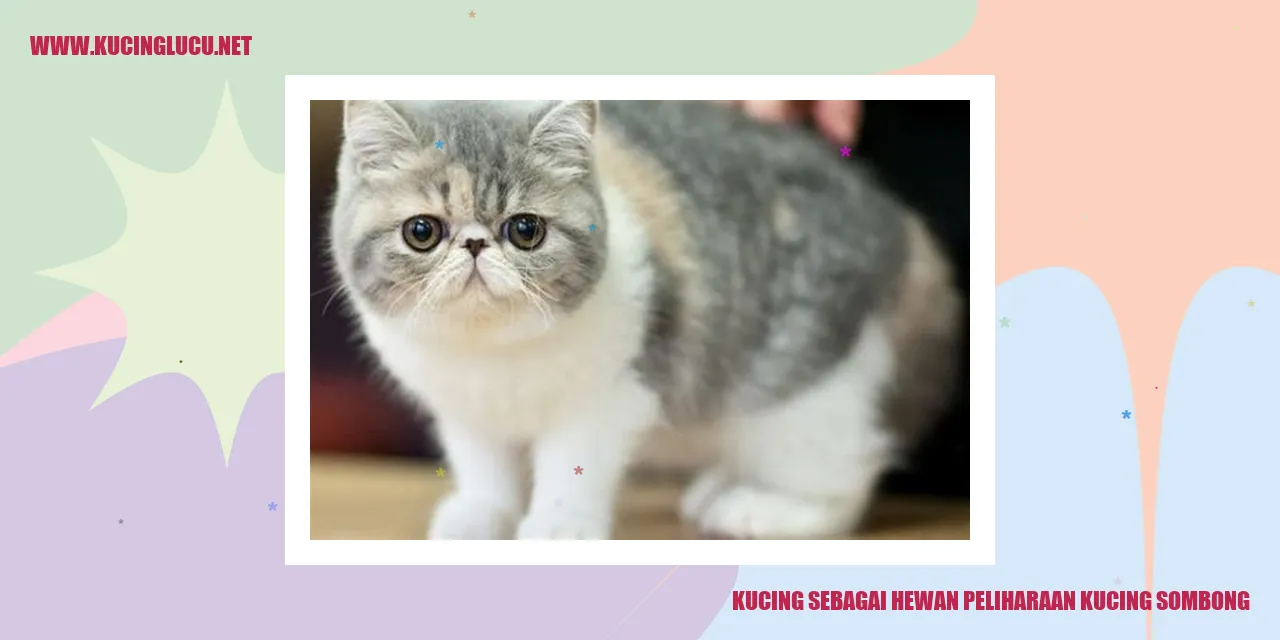 Kucing sombong