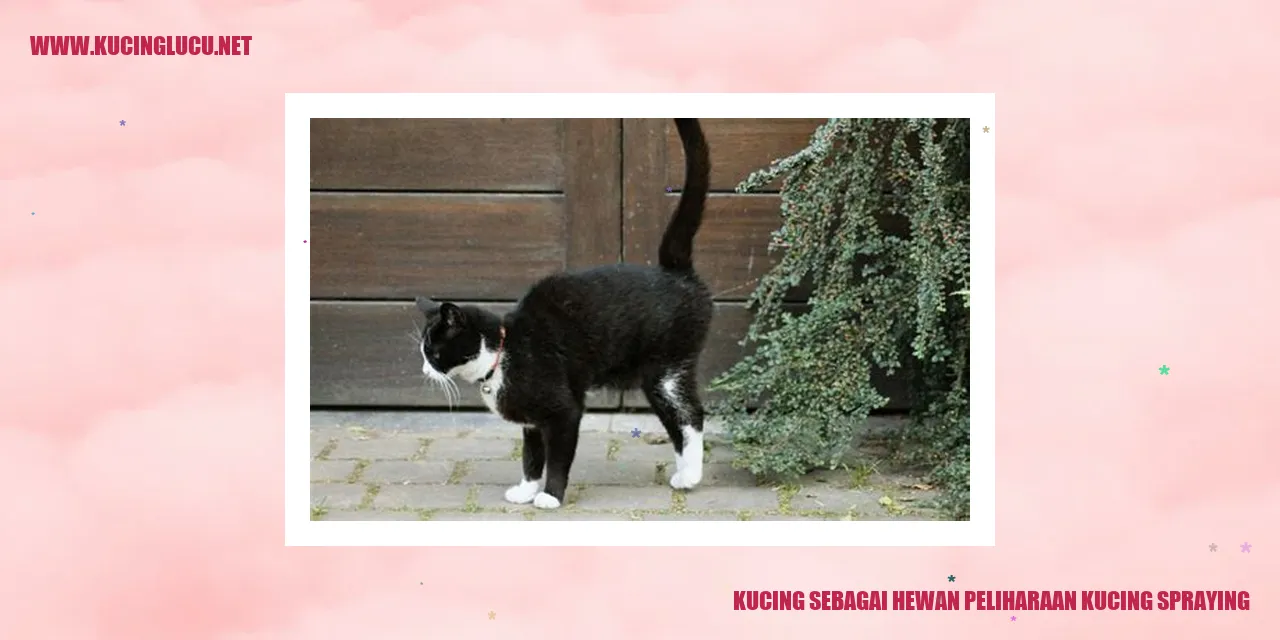 Ilustrasi Kucing