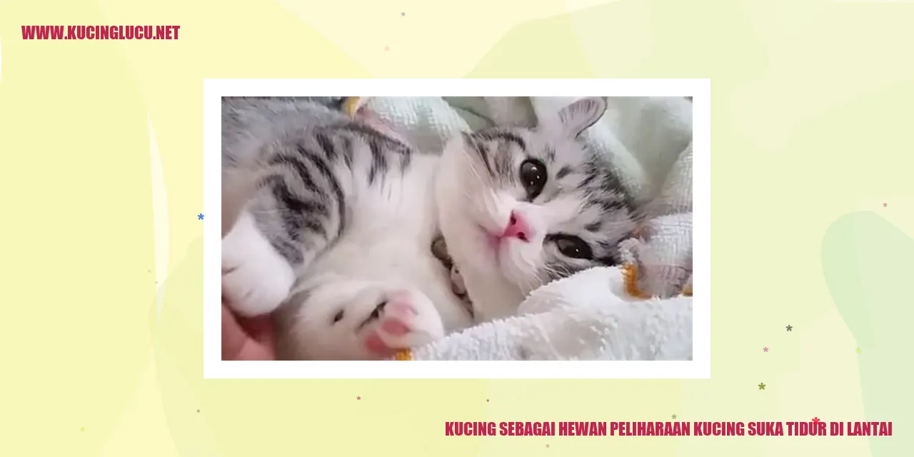 Kucing tidur di lantai