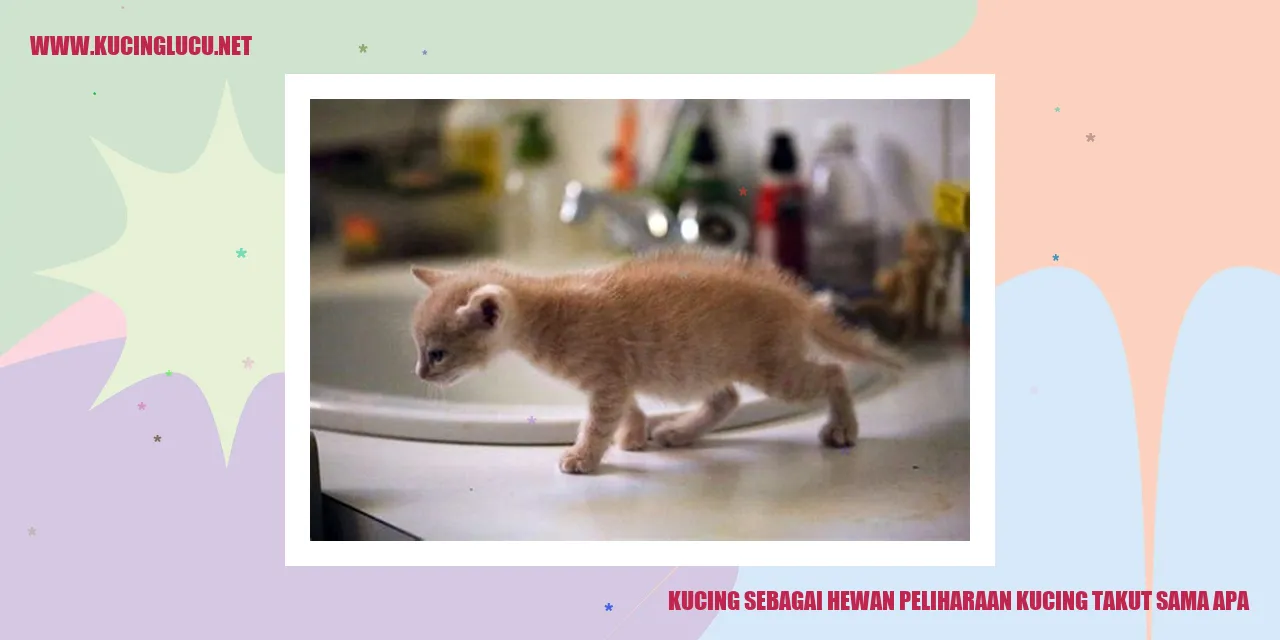Gambar Kucing yang Menggemaskan