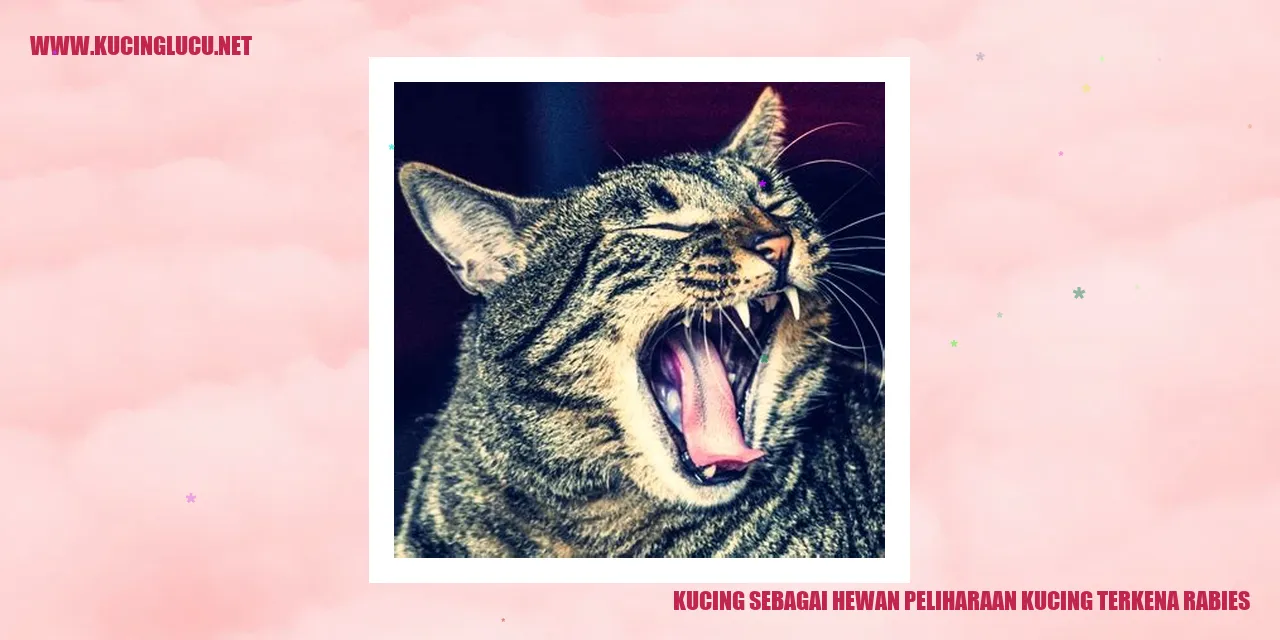 Kucing Terkena Rabies