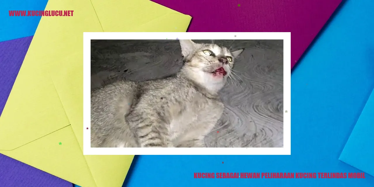 Kucing terlindas mobil