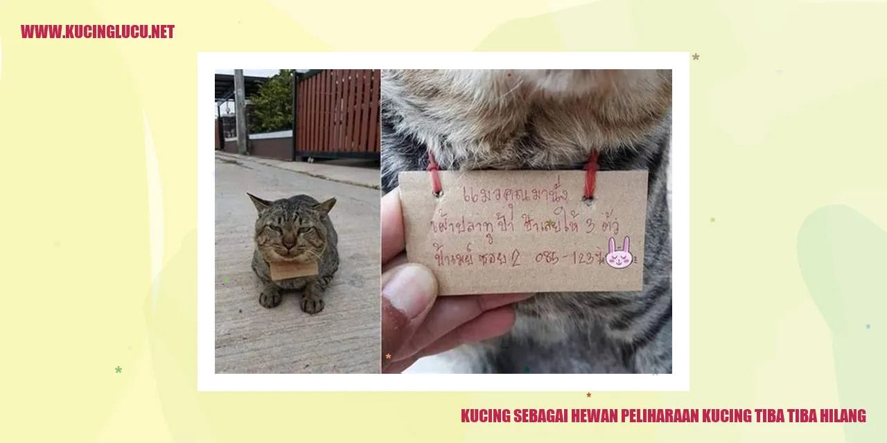 Kucing hilang