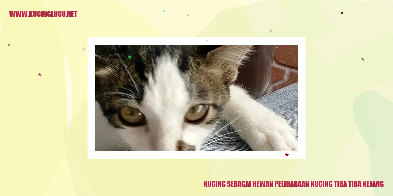 gambar kucing