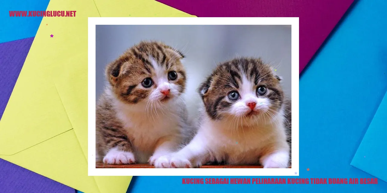 Kucing sebagai Hewan Peliharaan kucing tidak buang air besar