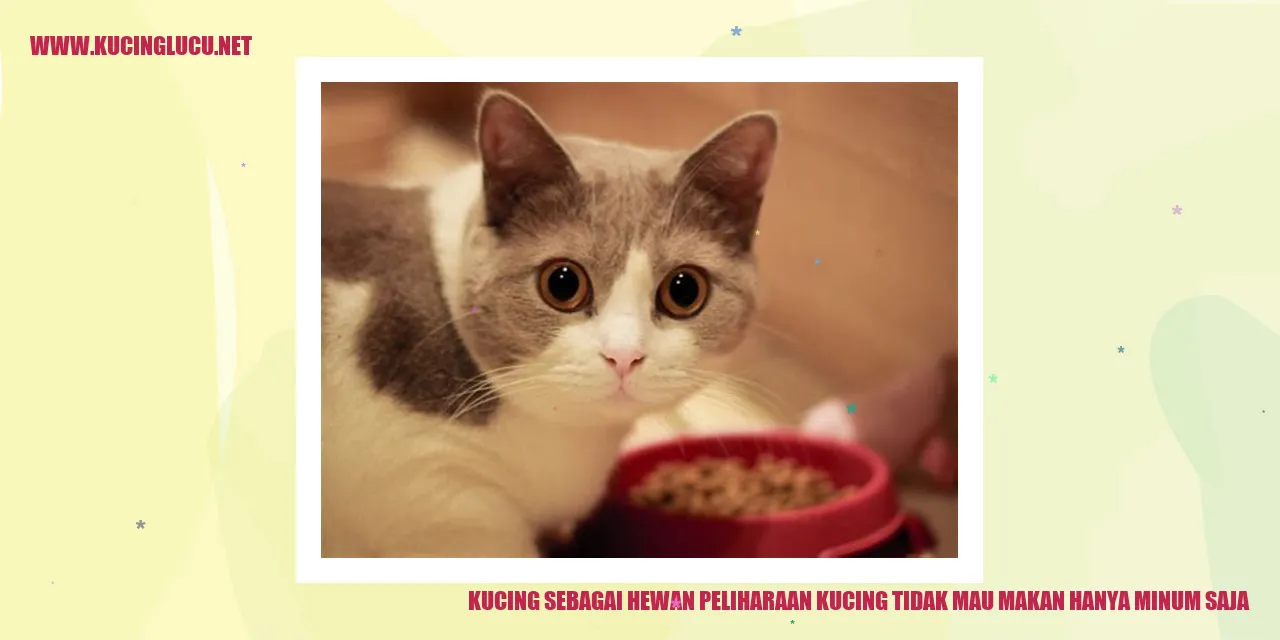 Kucing Sedang Minum Air