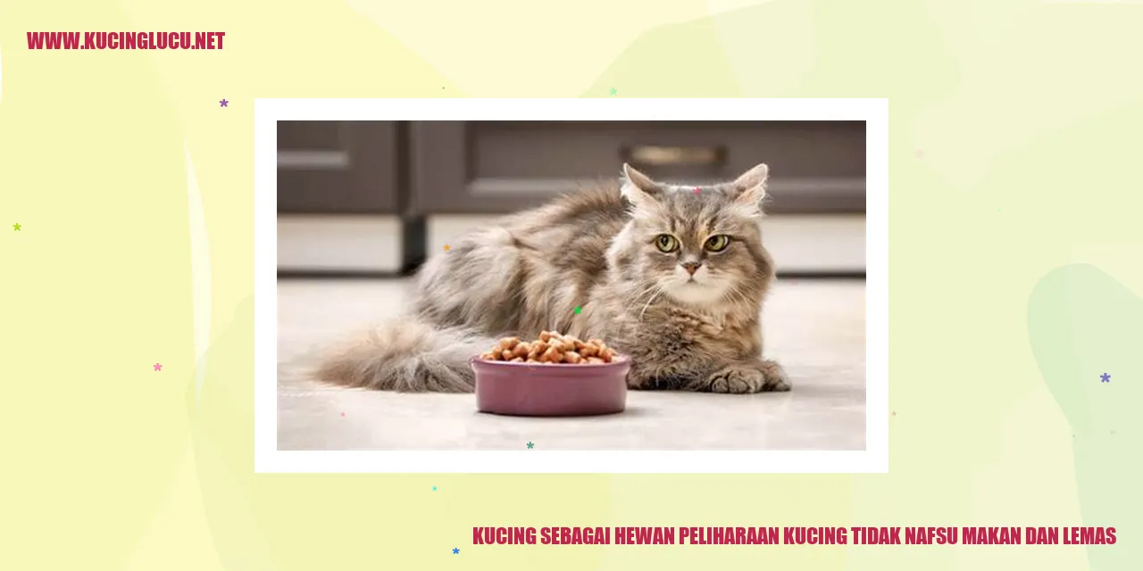 Gambar kucing yang menggambarkan artikel