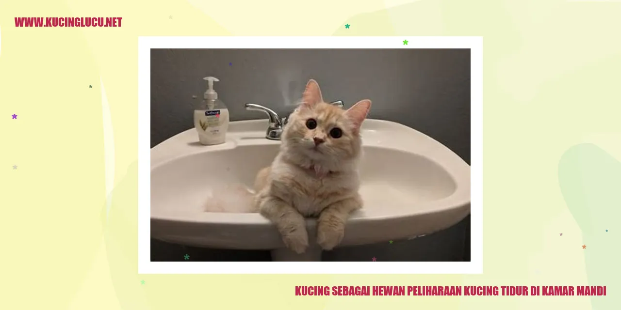 Kucing tidur di kamar mandi