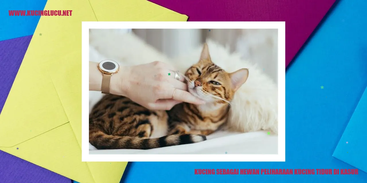 Kucing tidur di kasur