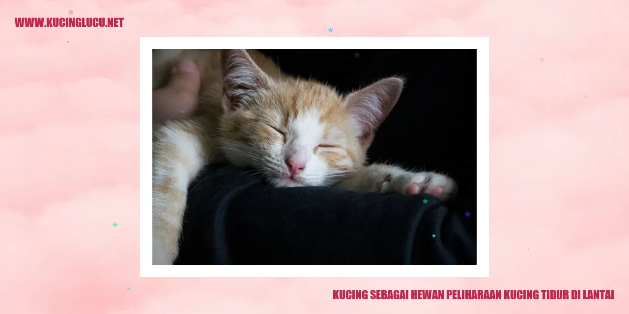 Kucing tidur di lantai