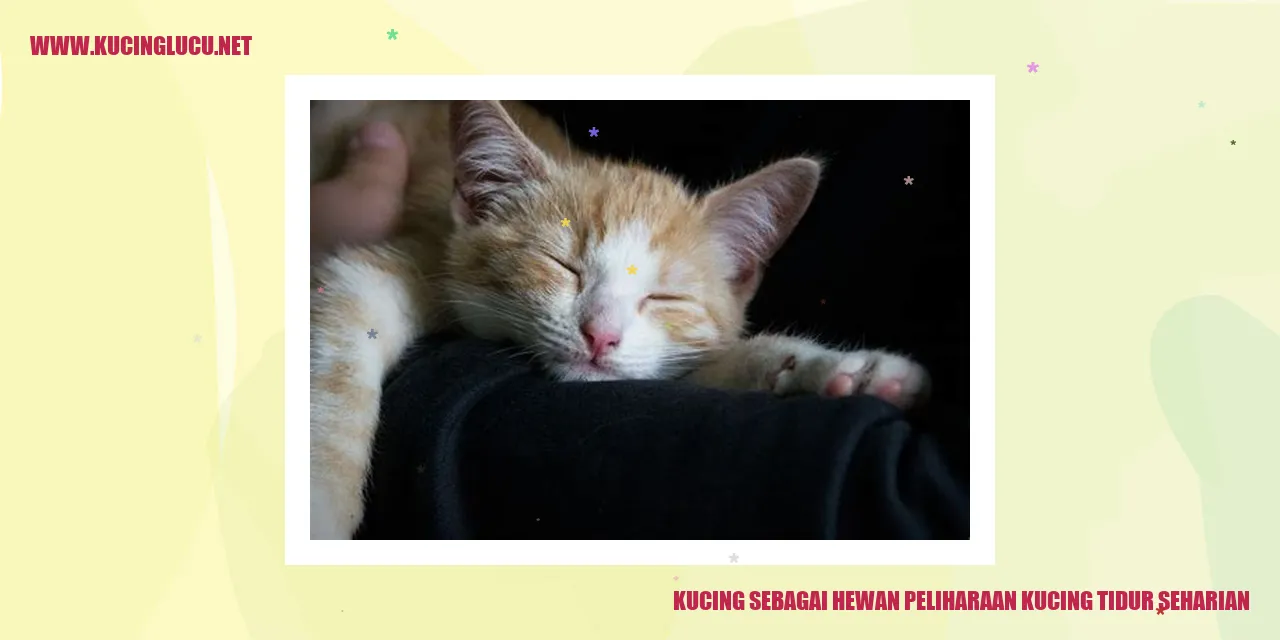 gambar kucing yang sedang tidur