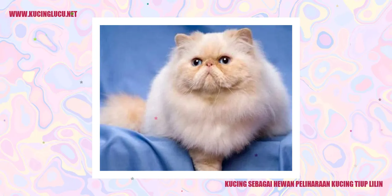 Kucing lucu sedang memegang lilin