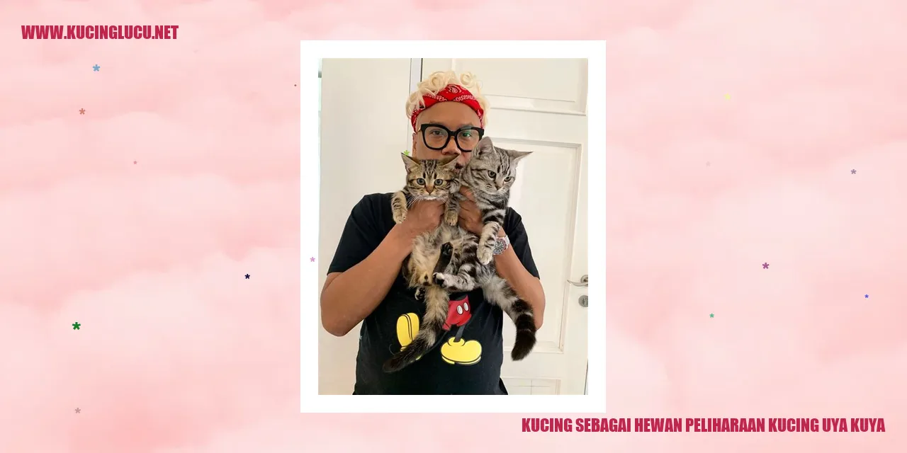 Gambar kucing sebagai teman peliharaan