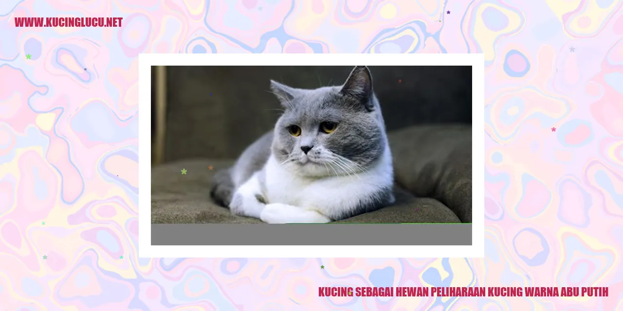 Kucing warna abu putih