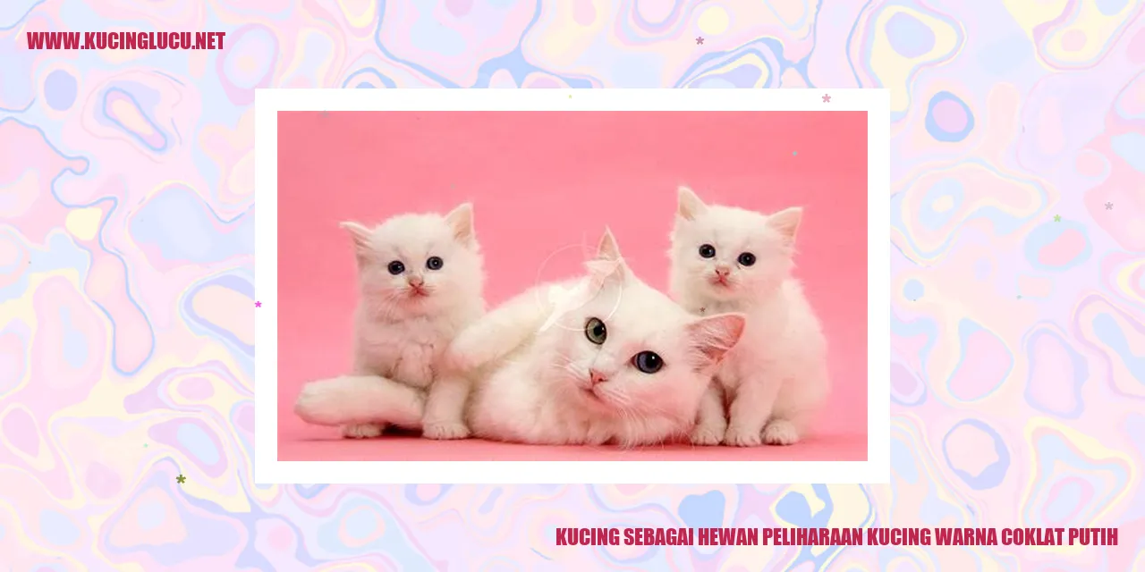 Kucing warna coklat putih