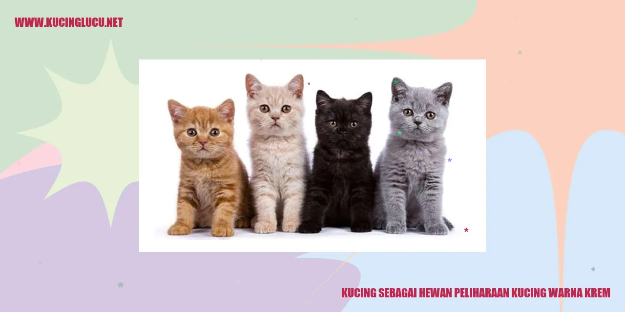 Kucing warna krem