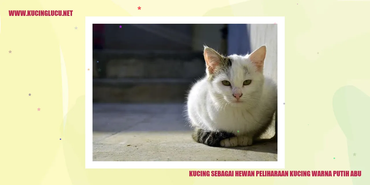 Kucing warna putih abu