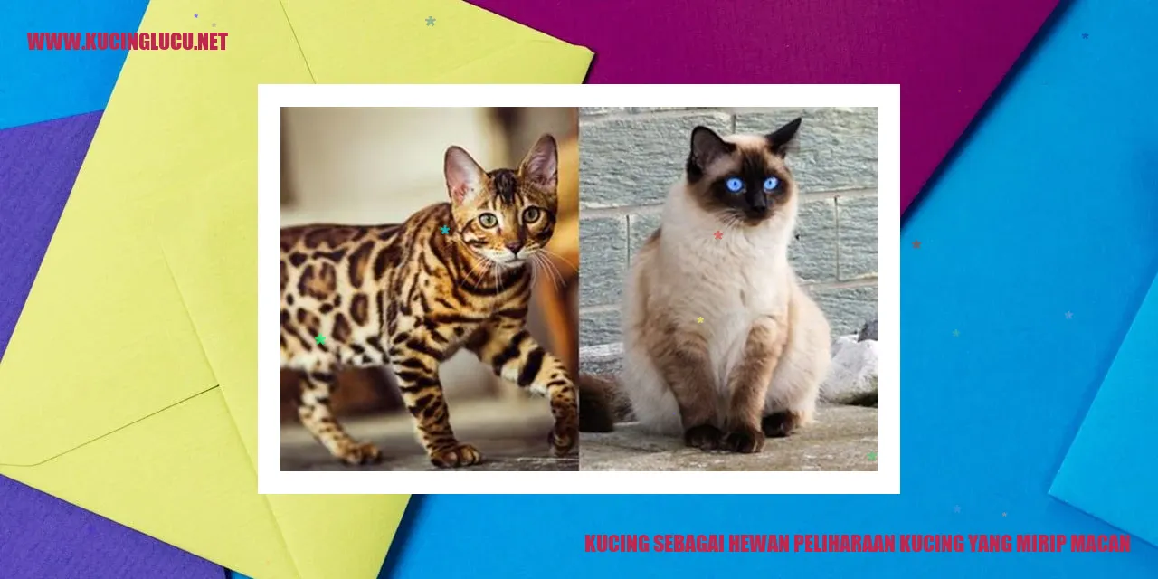 Gambar Kucing sebagai Hewan Peliharaan yang Menyerupai Macan