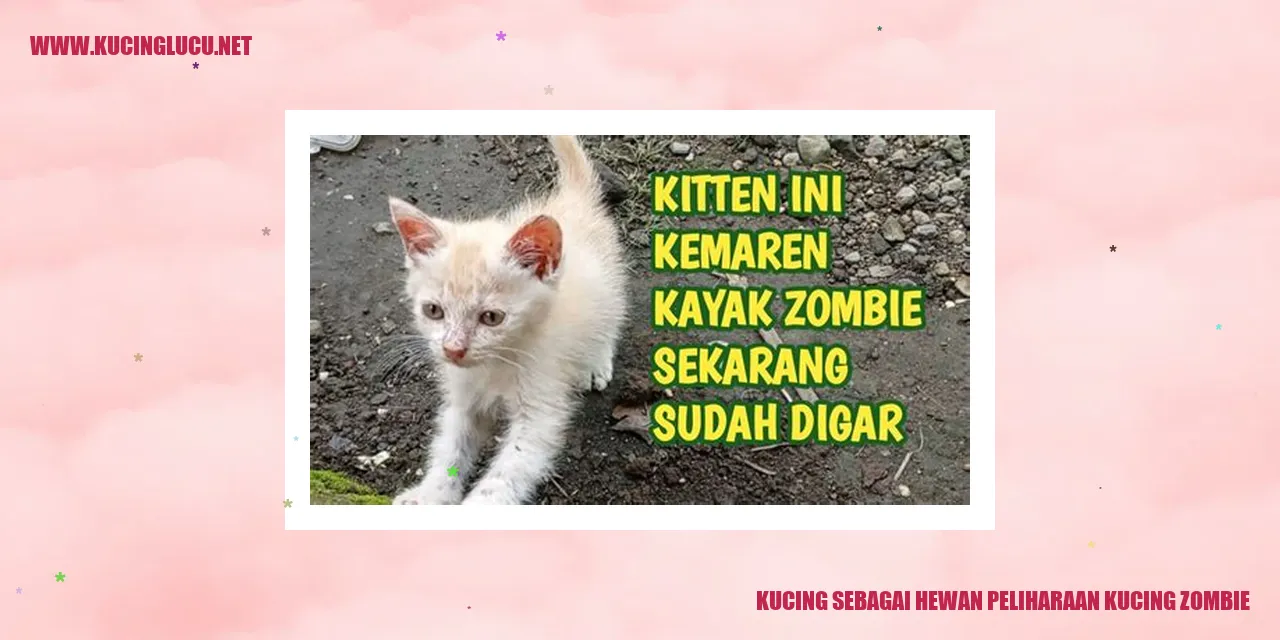 Kucing zombie yang lucu