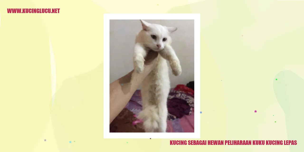 Kucing-Lucu