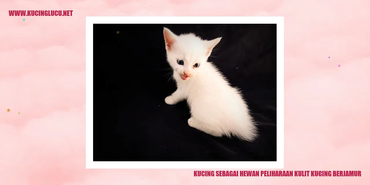 Kucing bermasalah dengan kulit