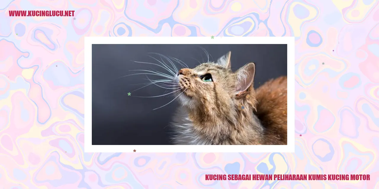Kucing sebagai Hewan Peliharaan