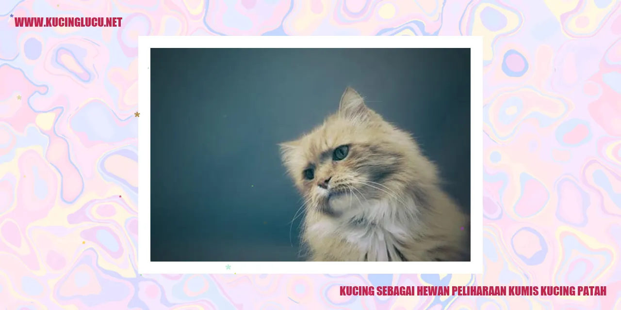 Kucing Berkumis Nyentrik