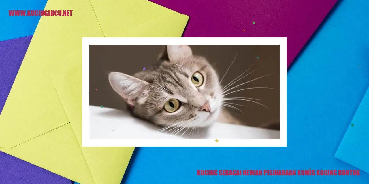 Gambar kucing sedang menggeliat