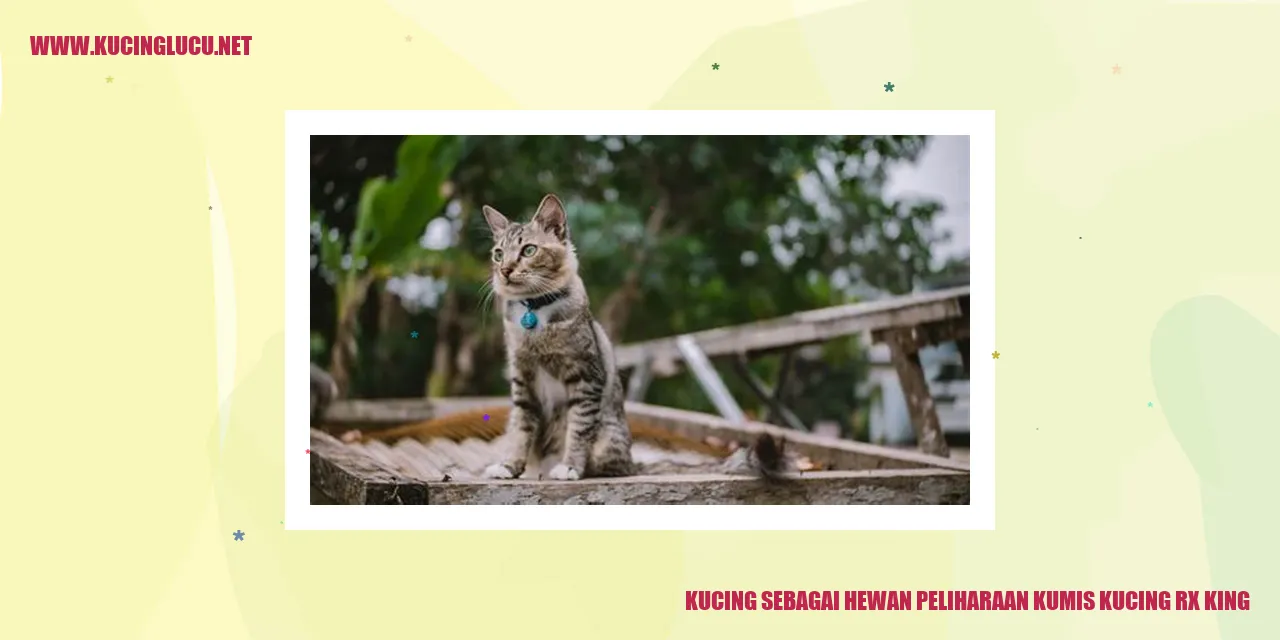 Kucing sebagai Hewan Peliharaan