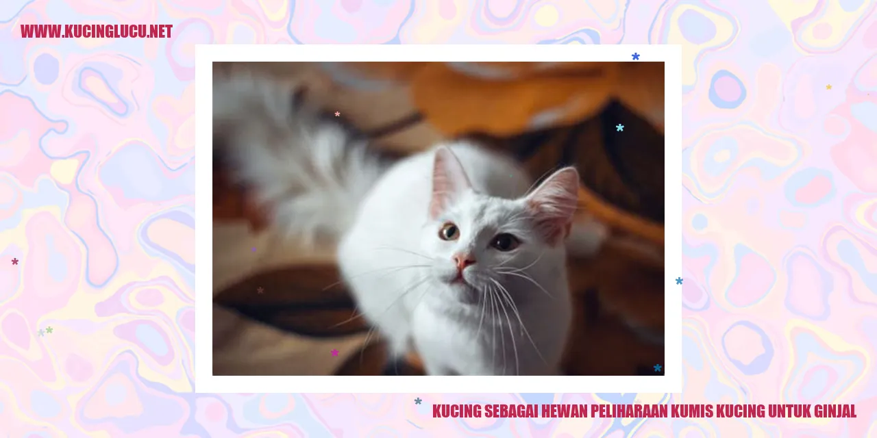 kucing dengan kumis